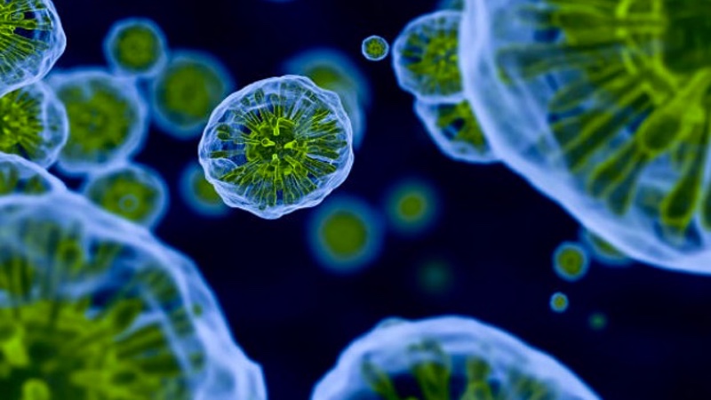 Emergex to develop novel vaccines against viral diseases