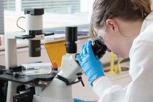 Enabling oligonucleotide therapeutics with precision targeting methods