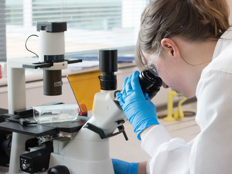 Enabling oligonucleotide therapeutics with precision targeting methods