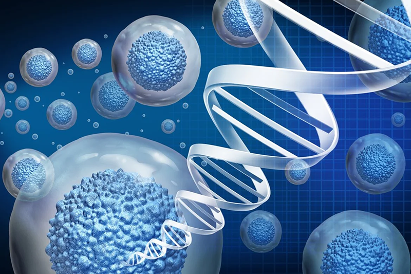 Ensuring cGMP compliance in cell and gene therapy manufacturing