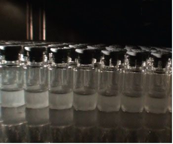 Ensuring robust lyophilisation scale-up