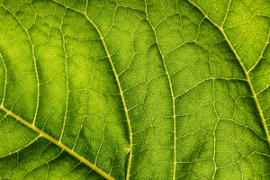 Envirotainer releases annual sustainability report