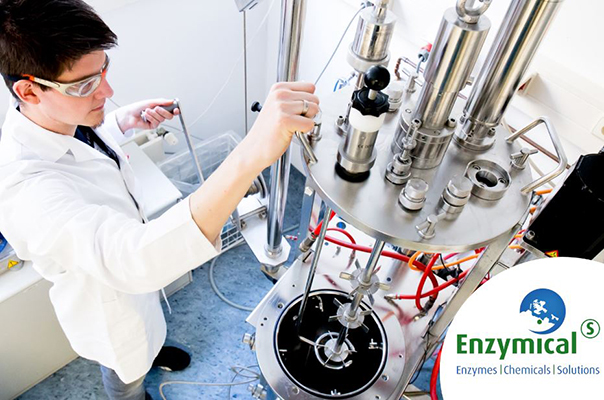 Enzymicals biocatalysts for straightforward synthesis of phosphorylated metabolites