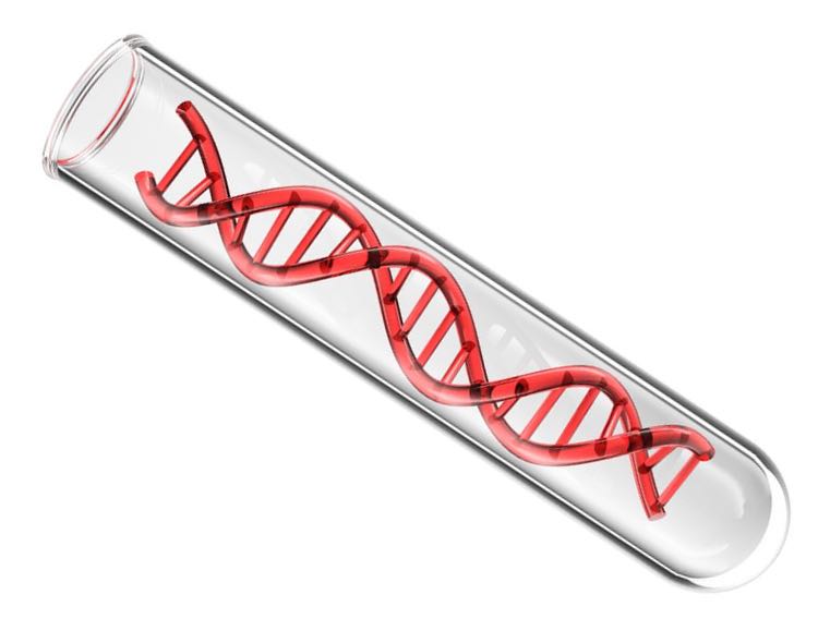 ERS Genomics signs deal with Applied StemCell