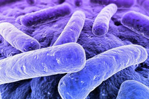 ESCMID updates C. difficile diagnostic guidelines
