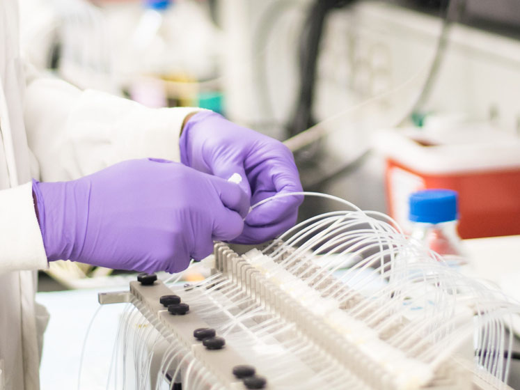 Establishing a rigorous and robust approach to topical drug product process development: part II
