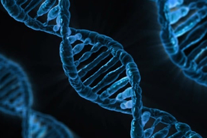 Estonia National Biobank selects PacBio to sequence 10,000 whole genomes