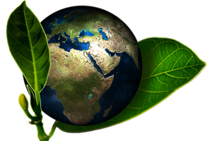 EU supply chain regulation: what will it mean for companies attending CPHI?