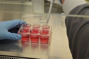 Evocutis secures first contracts for LabSkin living skin equivalent