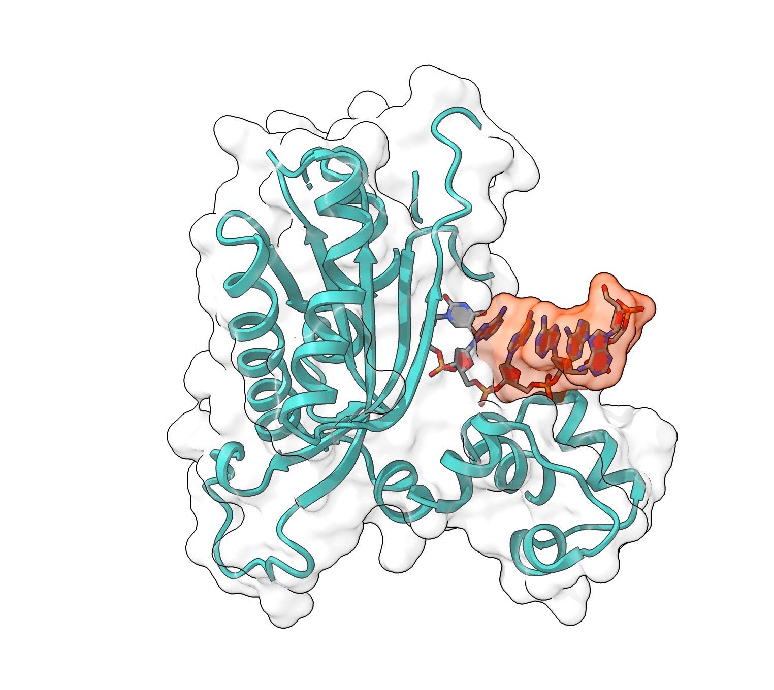 Evonetix achieves enzymatic DNA synthesis 