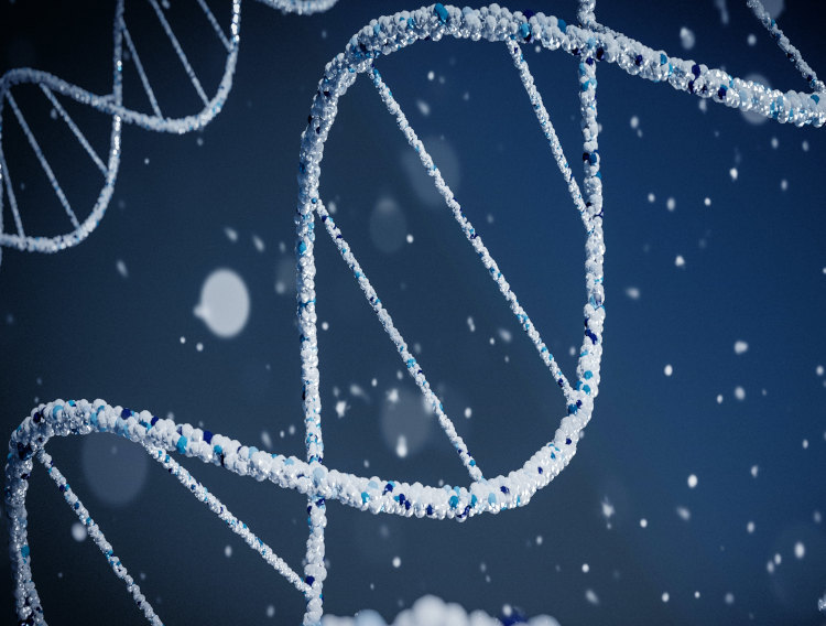 Evonetix granted patent for DNA data storage tech