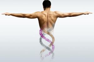 Evonik develops fermentation-based collagen production