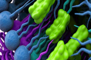 Evonik increases plant-derived cholesterol supply