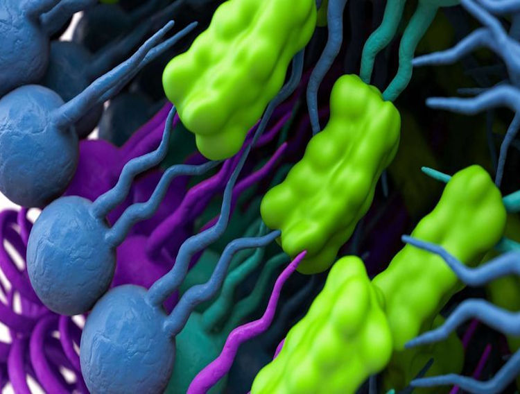 Evonik increases plant-derived cholesterol supply