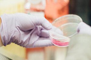 Evonik introduces three product lines for health care business