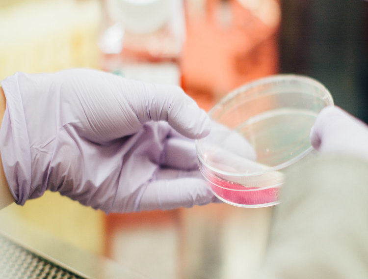 Evonik introduces three product lines for health care business