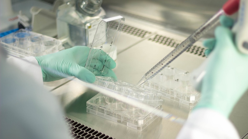 Evox expands exosome platform for drug delivery
