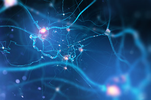 eXmoor Pharma and Evox Therapeutics complete technology transfer for Huntington's gene editing programme
