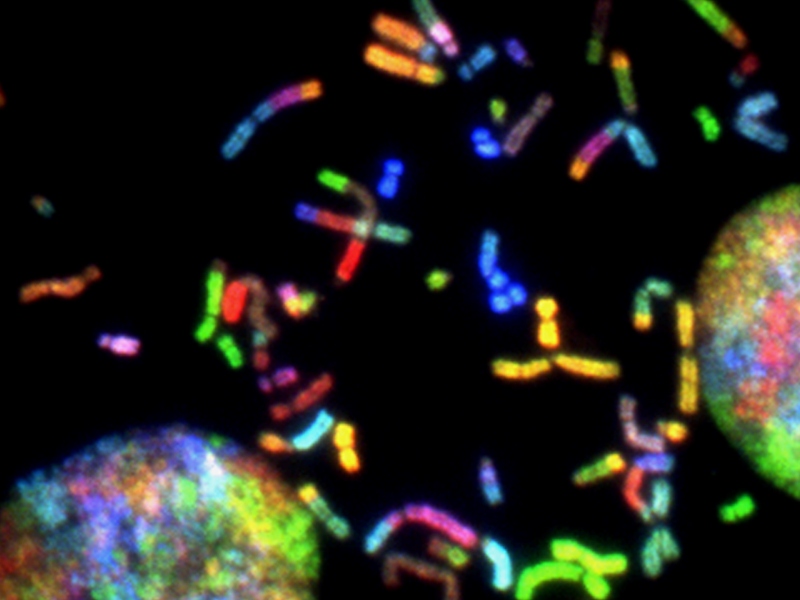 Expansion of proprietary AAV gene therapy product line