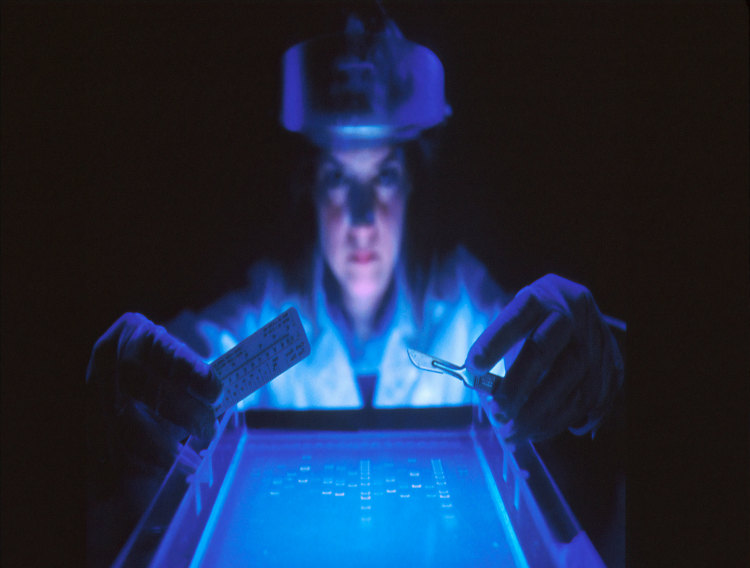 Exscientia and Sanofi establish AI-based research collaboration 