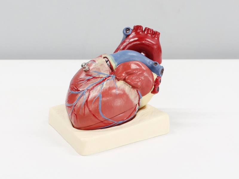 Farxiga extended in the US to reduce risk of cardiovascular death