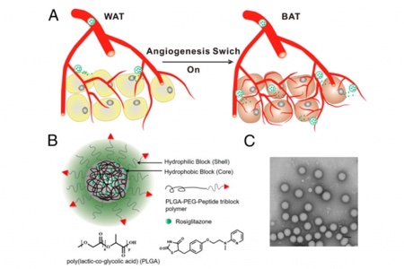 Fat-fighting nanoparticles