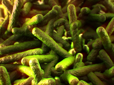 FDA issues guidance to prevent listeria