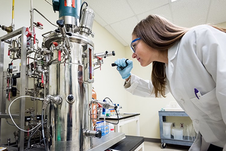 FDA partners with university on biopharmaceutical manufacturing