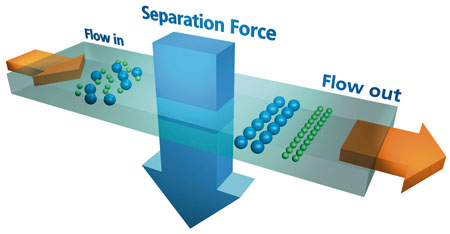 Field Flow Fractionation application in MAB development 