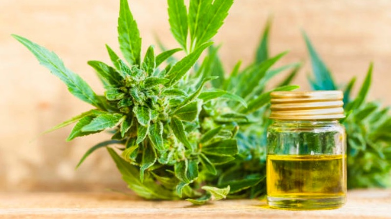 First prescription CBD from GW Pharma has restriction lowered 