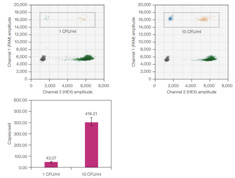 Figure 2: ddPCR sensitivity for <i>A. laidlawii</i> standards. ddPCR 2-D plots (top) with <i>A. laidlawii</i>-positive droplets highlighted in the black, dashed rectangles; average copies/well values (bottom) for 1 and 10 CFU/mL <i>A. laidlawii</i> standards. The ddPCR LOD was 1 CFU/mL because all ddPCR samples tested positive with ≥1 FAM-positive droplet/well. Error bars represent standard deviation (n = 12)