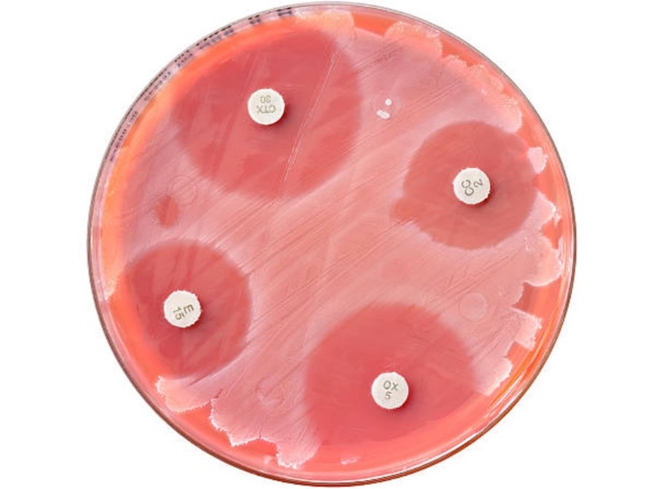 Forge and Basilea partner on antibiotic discovery