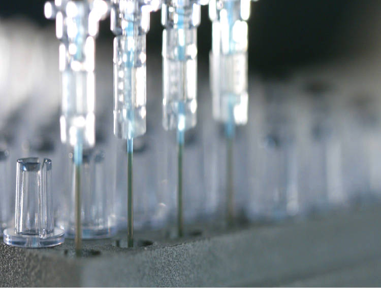 Fox Biosystems launches White Fox biosensor