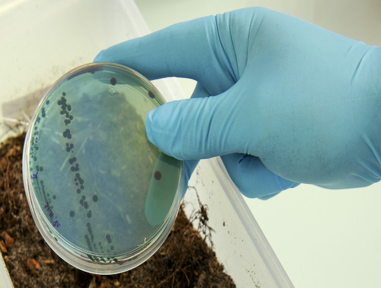 French collaboration aims to address antibiotic resistance