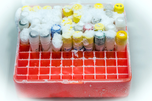 Fridge-free vaccine tech raises $2.8m in series A round