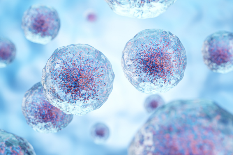 From lab to patient: how Fujifilm Cellular Dynamics is scaling iPSC therapies towards commercialisation
