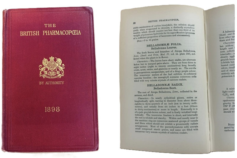 From recipes to assays: the historical development of analysis in the British Pharmacopoeia