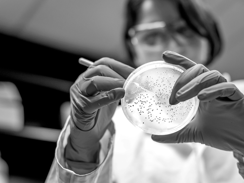 Fujifilm completes facility for viral vectors in Darlington, UK