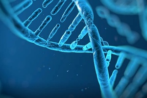 Further development of CAR-T cell therapy requires industry input