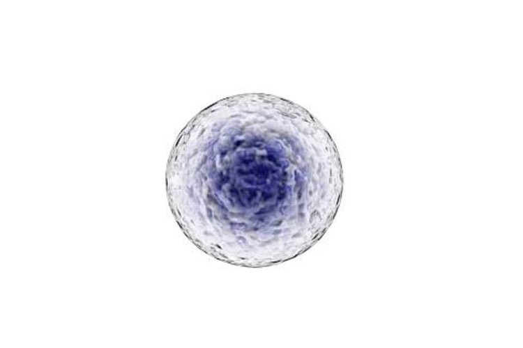 Gamida extends Lonza partnership beyond clinical to commercial