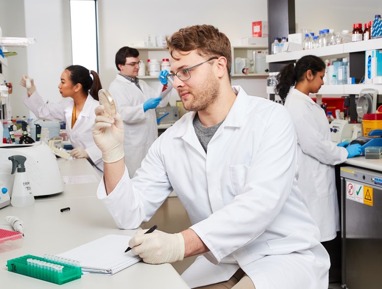 GE Healthcare collaborates to develop ligands for AAV purification