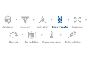 GE Healthcare Life Sciences launches software for cell therapy workflow