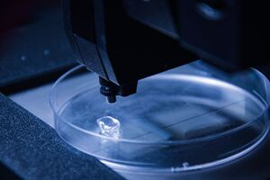 GELITA and Black Drop partner to develop advanced bioinks for 3D bioprinting