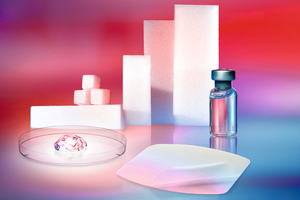 Gelita showcases advanced vaccine excipient range at BIO International 2025
