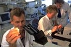 Gene Bridges licenses Red/ET recombineering to Novozymes 