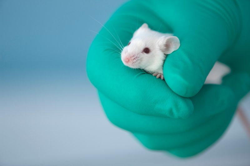 Genoskin raises $8.7m in its first funding round to advance its ethical, human-based alternatives to animal testing