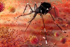 Global alliance chooses Horizon Discovery cell line for Zika antibody