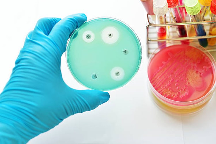Global CDMO joins antimicrobial resistance alliance