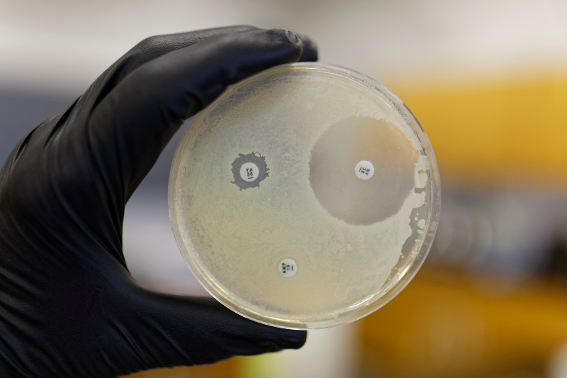 Global consortium launches to accelerate antibiotic discovery