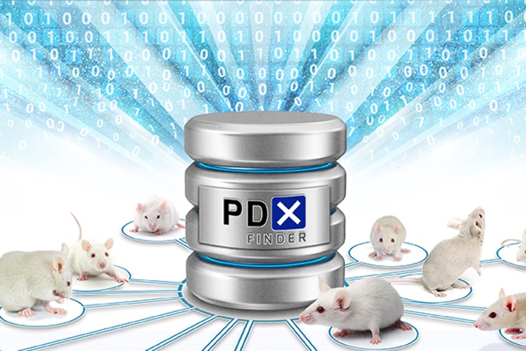 Global portal for cancer models